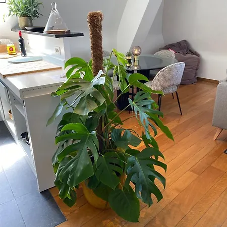 ‘t Zèèmanskot Appartamento *